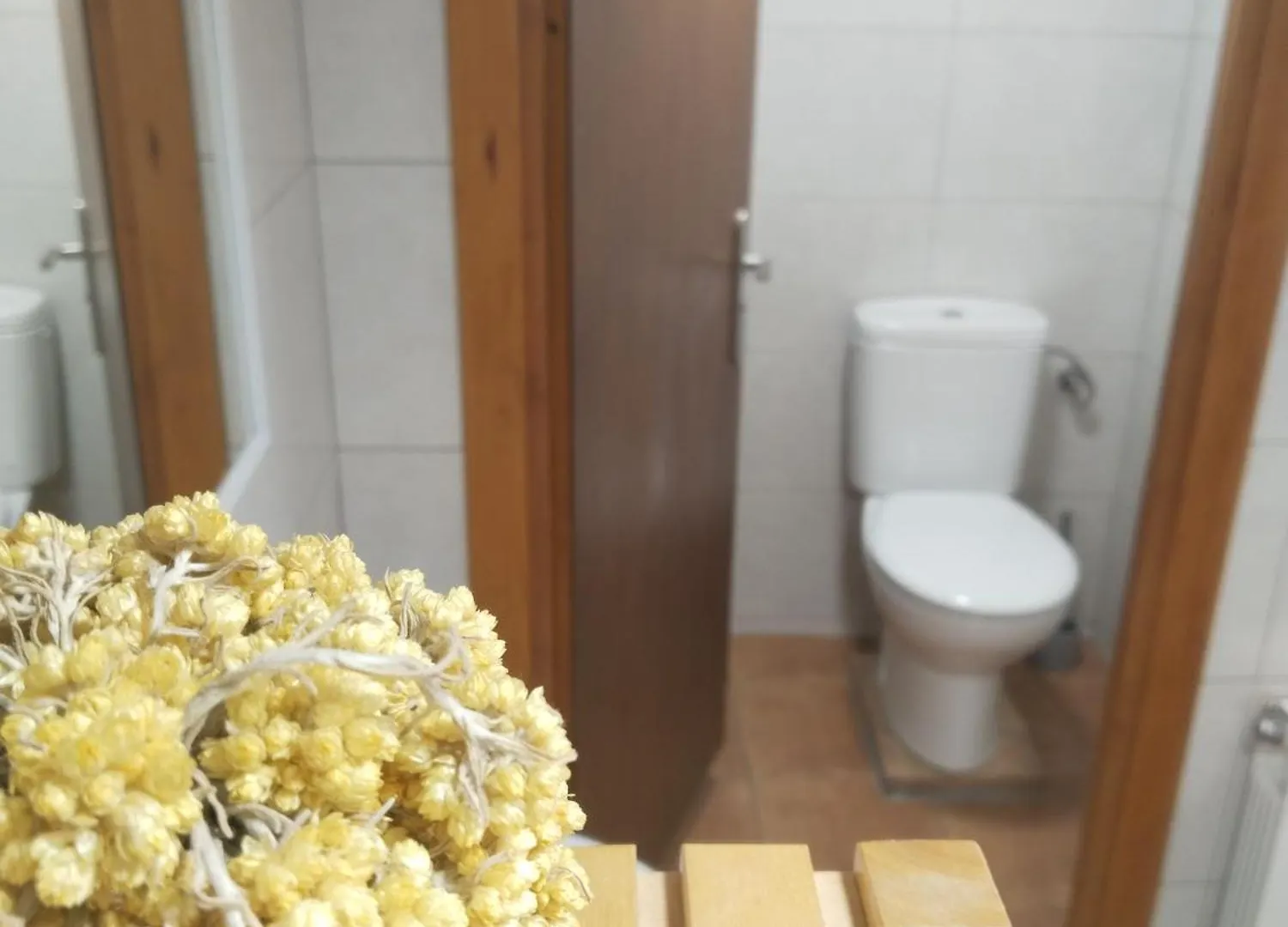 El Refugi Hostel Arboli